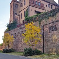 saverne_06